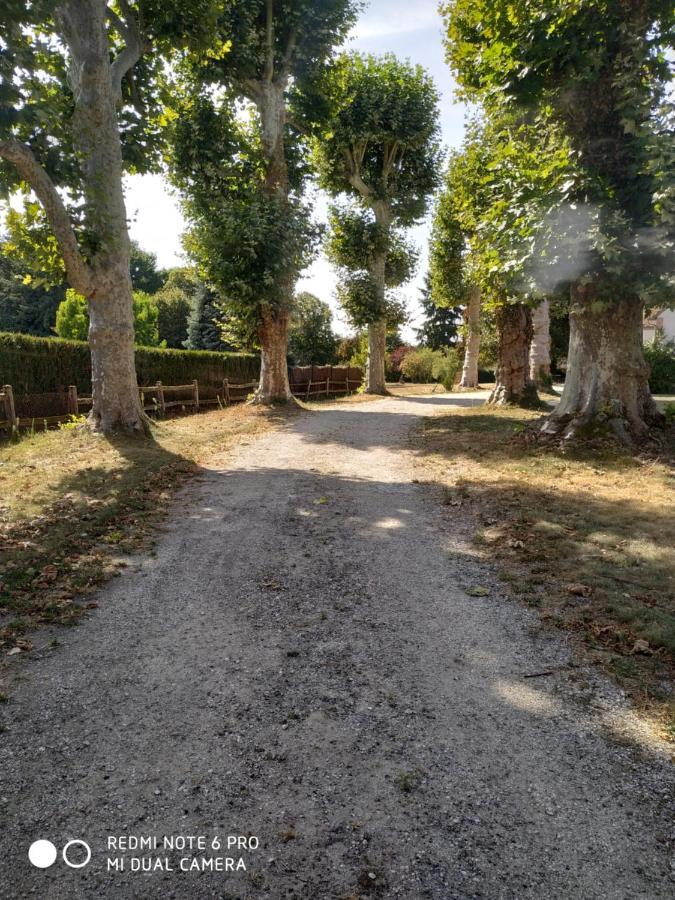 Au Cocon De Sologne Soings-en-Sologne