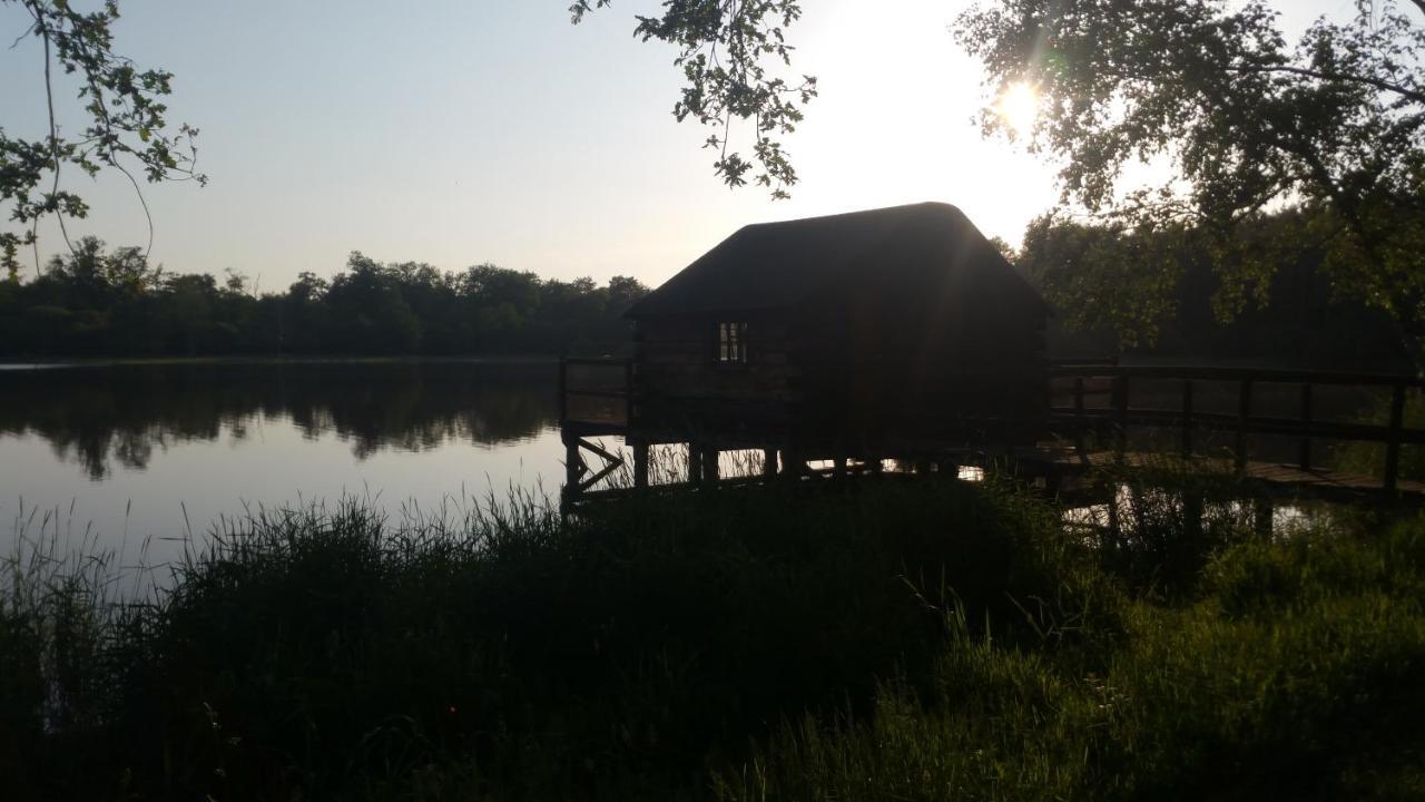 Au Cocon De Sologne Gasthuis